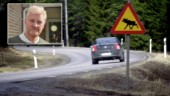 Rådjur värst utsatta på Katrineholms vägar – men färre viltolyckor i fjol