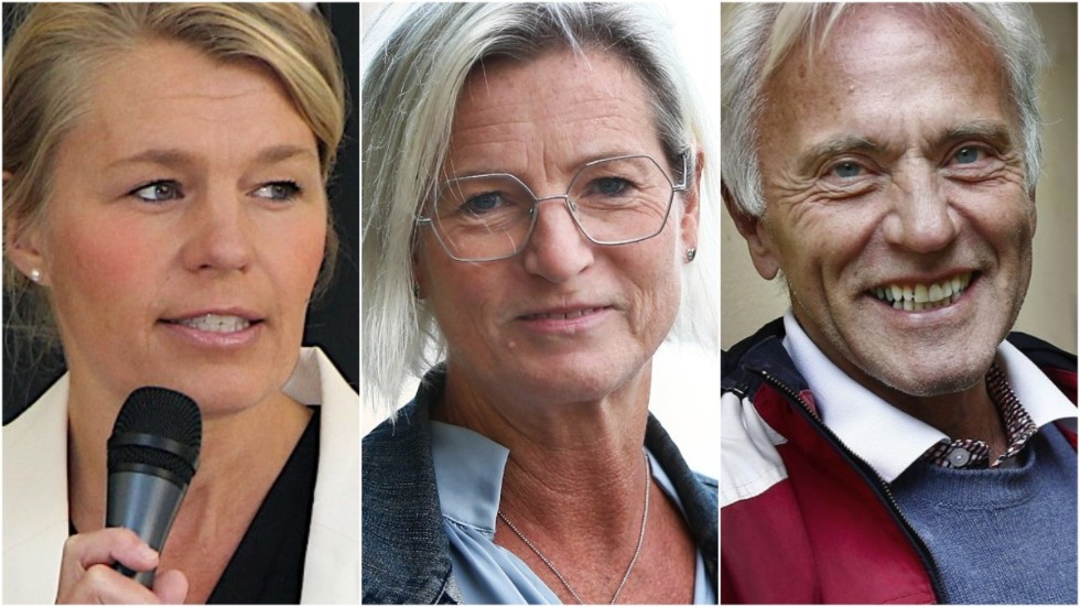 Sophia Jarl (M), Eva-Britt Sjöberg (KD) och Reidar Svedahl (L) drev tillsammans med Christopher Jarnvall (SD) (ej på bild) igenom ett veto mot Holmens vindkraftsbygge på Klintaberget. 