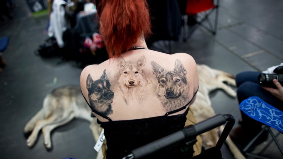 "I Oxelösund blev det svårt ändå att få någon att tatuera på" skriver insändarskribenten i sin tatuerarvals. Arkivfoto