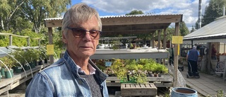 Efter 100 år – Landqvist Handelsträdgård går i graven: "Orkar inte mer"