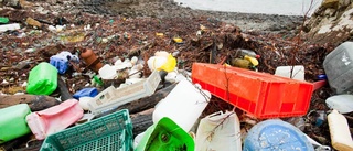 Snart finns mer plast än fisk i haven