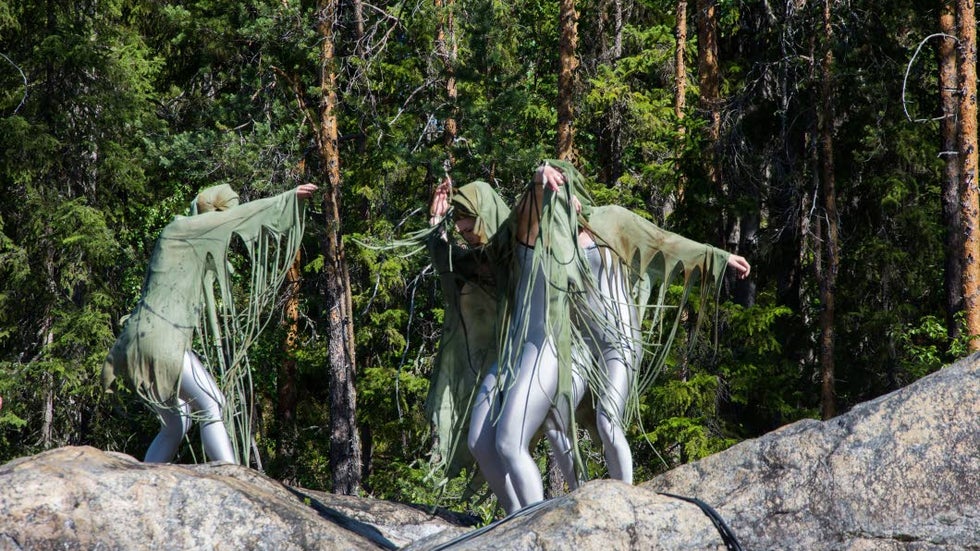 INSÄNDARE: Skippa trollen – vittror är bättre