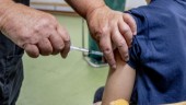 Privat bekostade covid-vaccin till barn ses över