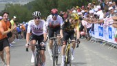 Fransk seger på spansk etapp i Tour de France