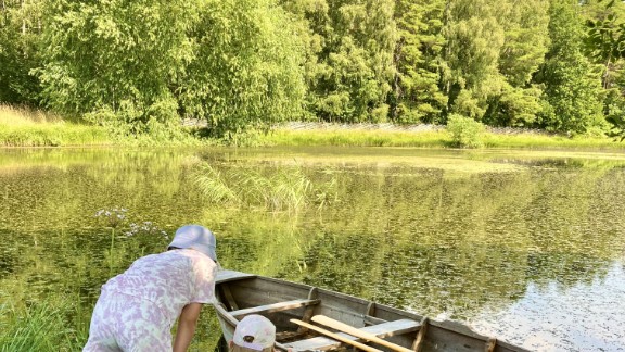 Familjeaktivitet: Vattenlevande insekter på Norrbys