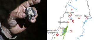 Karta: Här finns uranfyndigheterna i Norrbotten och Västerbotten