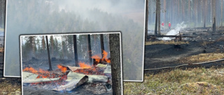 Forest fire - Major operation outside Skellefteå