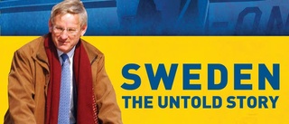 Det vanliga livet som svensk politiker