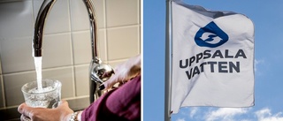 Risk för bevattningsförbud i Uppsala