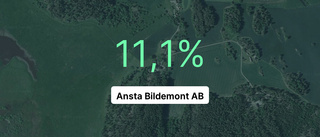 Ägarna till Ansta Bildemont AB tog ut 2 miljoner kronor i utdelning - högsta summan på senaste fem åren