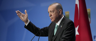 Erdogan: Nato-ja först när parlamentet öppnar