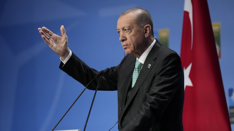 Turkiets President Recep Tayyip Erdogan under Natotoppmötet i Vilnius.