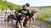 Jätteskandal: Hundar dopades – Kirunaprofilen rasar