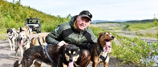 Jätteskandal: Hundar dopades – Kirunaprofilen rasar