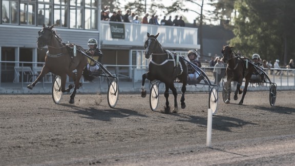 Kvällstrav på Skrubbs Travbana
