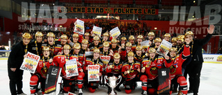 Vem var Luleå Hockey/MSSK:s bästa spelare 2022/23?