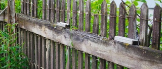 Gränsöbo tvingas sätta upp staket – mot ägarens vilja