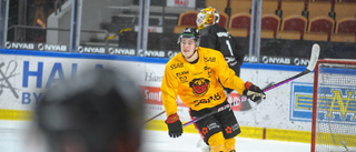 Fem spelare från Luleå Hockey i landslaget