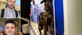 Luleås skolor kan få oväntat besök – av narkotikahundar