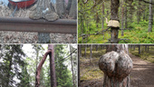 Här är årets knasigaste träd – i Uppsala