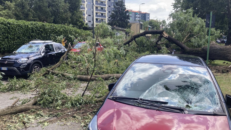 En bil som träffats av ett träd under stormen i Milano. Många svenskar vars bilar träffats av hagel får nu hjälp av SOS International att ta sig hem. Bild från tisdagen.