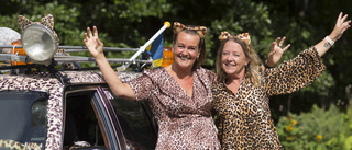 Leopard på vägen – Maria och Pernilla har ovanliga Volvon