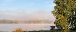 Läsarbilden: Morgondimma       