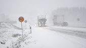 SMHI varnar för snö och kyla – tåg ställs in