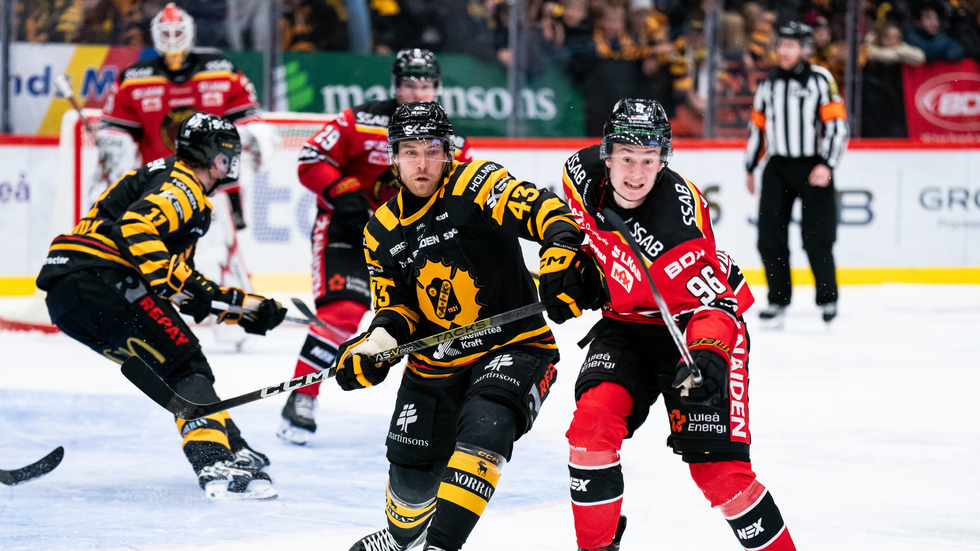 Skellefteå AIK eller Luleå HF vinner SM-guld?