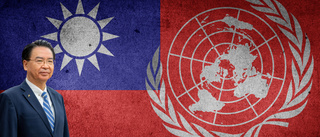 Tillsammans för fred och Taiwans inkludering i FN