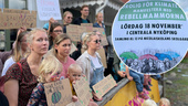 Rebellmammorna demonstrerar i Nyköping igen