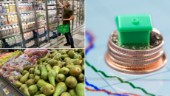 Räntor och höga matpriser pressar östgötarnas ekonomi