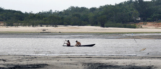 Brasilien varnar för svår torka i Amazonas