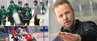 Piteå Hockey har spaning på Rosvik: "Vet att många gör det bra"
