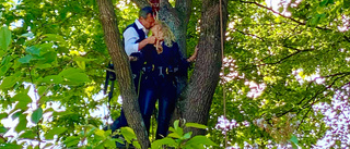 Eva och Mattias gifte sig – hängandes sex meter upp i ett träd
