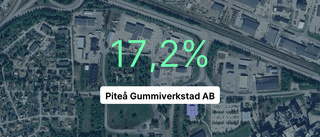 Piteå Gummiverkstad AB redovisar marginal som slår branschsnittet