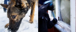 Hundpatrull i jakt på inbrottstjuv i Oxelösund
