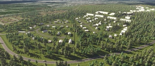 Stora kliv framåt för nya bostadsområden i Piteå