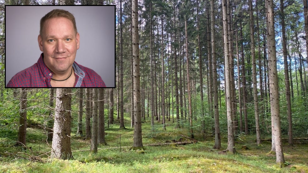 debatt-naturv-rden-st-r-h-gt-p-skogsstyrelsens-agenda