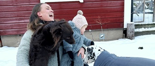 Emma, 34, jobbar som hundpsykolog: "Visar respekt för hundarna"