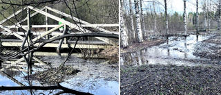 LATEST: Västerbotten water levels have peaked says Länsstyrelsen
