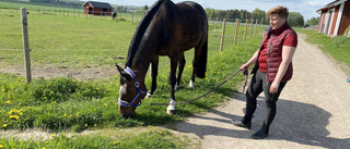 Elitidrottaren skaffade häst efter karriären: "Mitt livs kärlek"