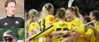 Backen Endre vill värva – Guteprofilen tränar med IFK Visby