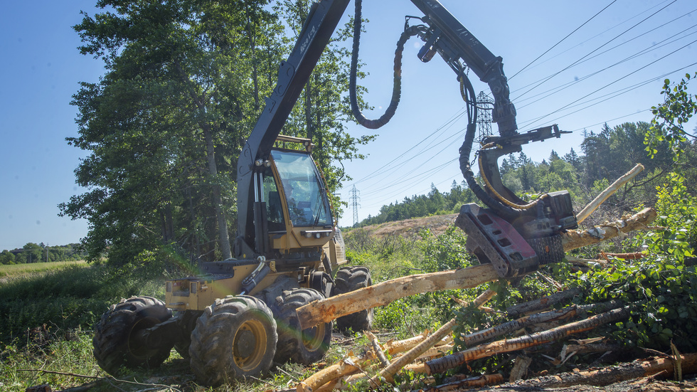 Äganderätten fyller en central funktion i hela samhället, men den är särskilt viktig för skogsbruket.