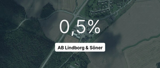 Positiva tal för AB Lindborg & Söner 