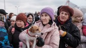 UNT bland ukrainska flyktingarna: "På ett sätt känner jag mig trygg här, samtidigt är det ledsamt, vi älskar vårt hem"