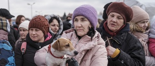 UNT bland ukrainska flyktingarna: "På ett sätt känner jag mig trygg här, samtidigt är det ledsamt, vi älskar vårt hem"