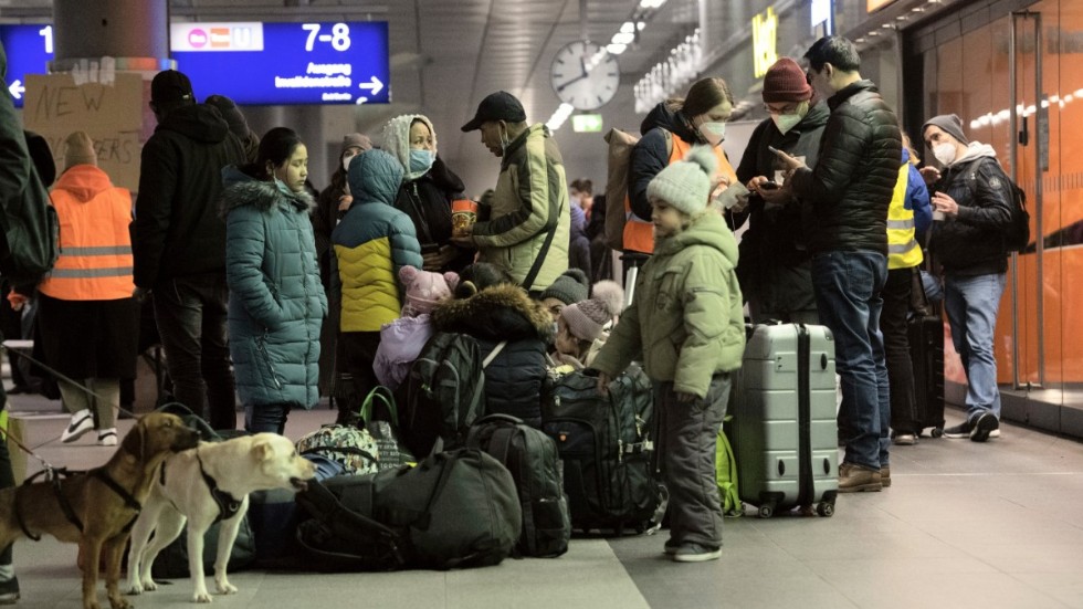 Allt fler personer från Ukraina söker sig nu till Sverige efter att ha flytt från kriget, vilket gör att Migrationsverket nu ber Sveriges kommuner om hjälp att snabbt ta fram totalt 12 000 bostadsplatser.