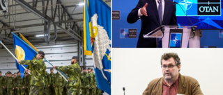 Det kan bli Gotlands roll vid svenskt Natomedlemskap • Gotländske experten: ”Vi skulle få se en utökad övningsverksamhet”