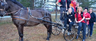 Distriktsveterinärerna i nyrenoverade lokaler